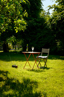 Mike's Apple Tree Art May 30th